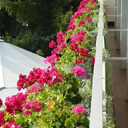 Hotel Zur Flueh Bad Säckingen Zewnętrze zdjęcie